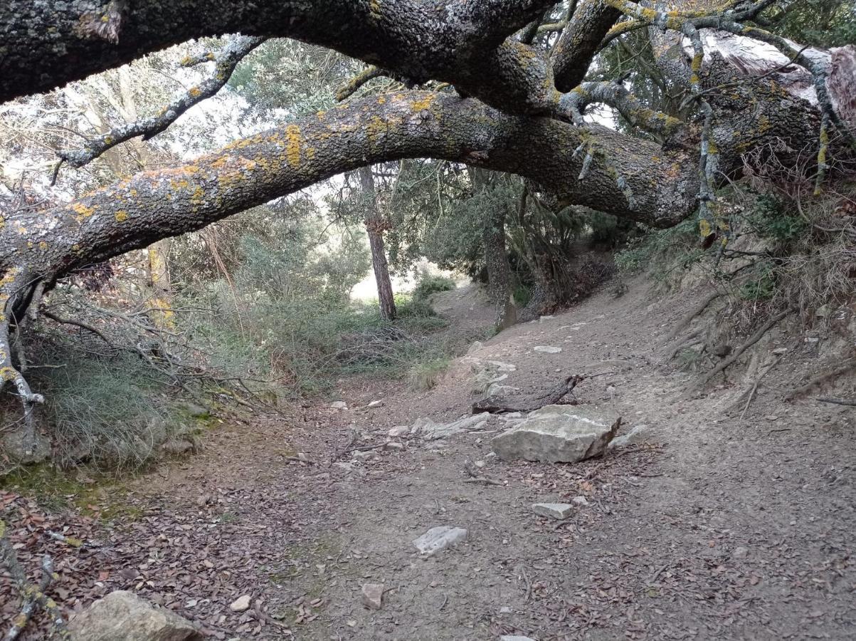 Apartamentos Casa Rural El Ventanico Olocau del Rey المظهر الخارجي الصورة